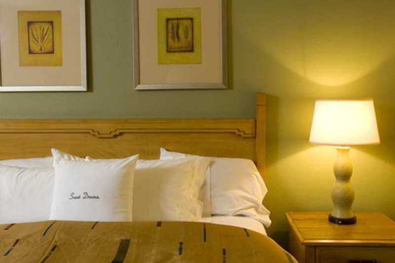Doubletree By Hilton Tucson-Reid Park Hotel Стая снимка